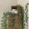 8Pcs Eucalyptus Garland,Artificial Eucalyptus Leaves Table Greenery Garland Wreath Spring Vines for Wedding Party Table Bedroom Wall Room Decor